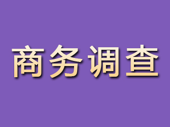 龙口商务调查